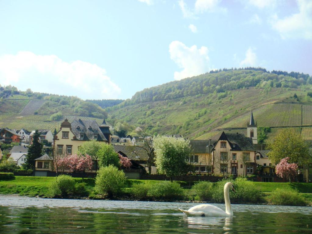 Boutique Hotel Villa Melsheimer ライル エクステリア 写真